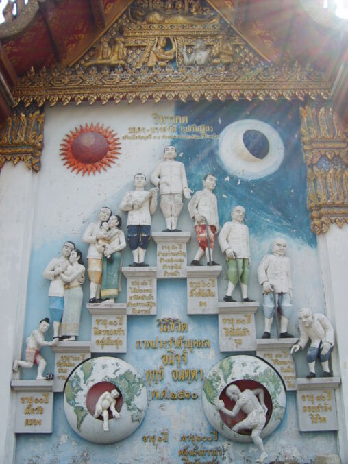 Cycle of life and rebirth