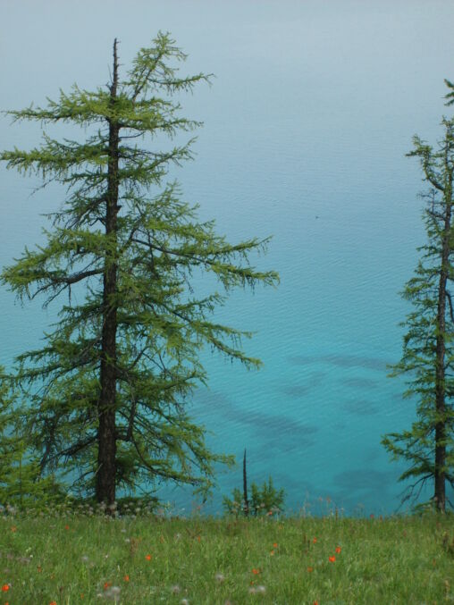 Crystal clear water in Khövsgöl lake