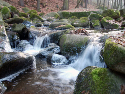 Rapids on small river
