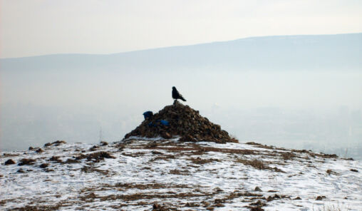 Mongolian ovoo and raven
