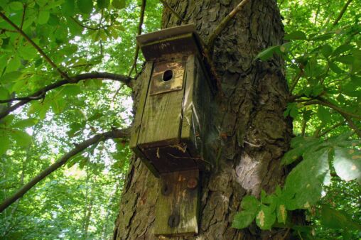 Birdhouse