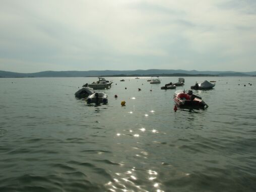 Boats on the Water