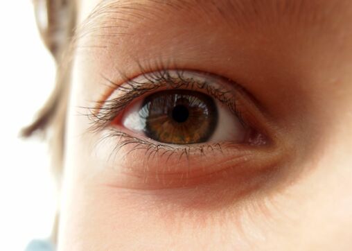Brown Eye