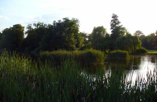 Reed and Lake
