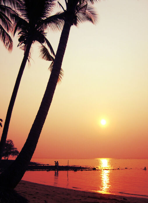 Sunset on the beach with palm tree