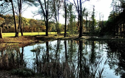 Lagoon