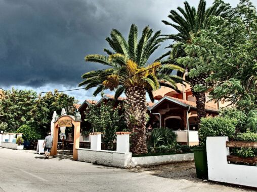 Palm Bar