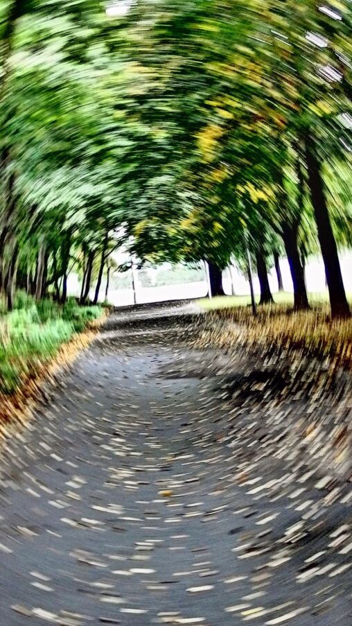 Spinning Walkway