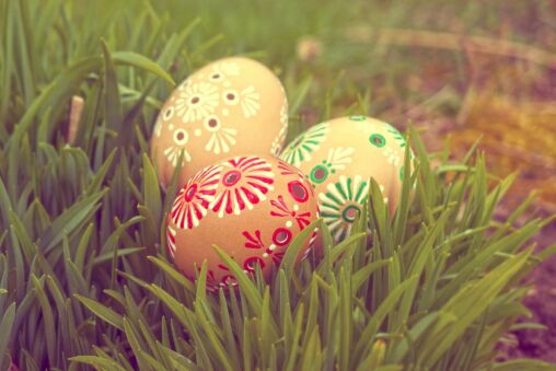 Grass and Eggs