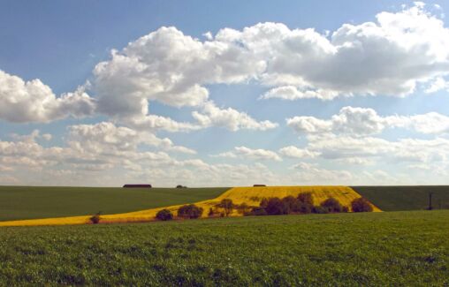 Field
