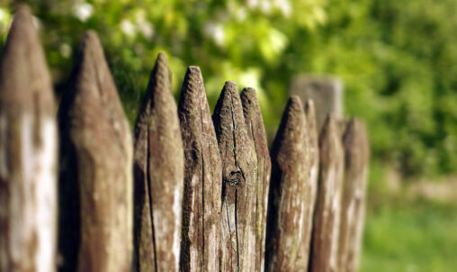 Wooden Fence