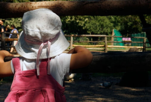 Little Child Looking Through the Wooden Fence