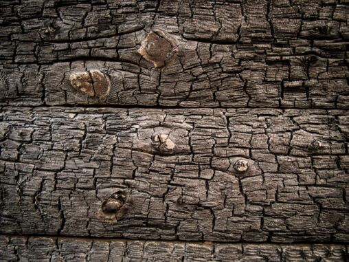 Burnt wood texture