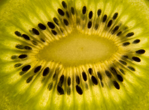 Kiwi slice closeup