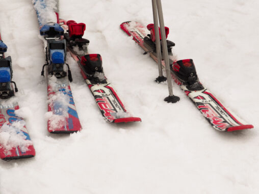 Lonely ski on the snow