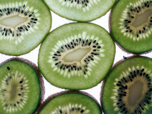 Kiwi Slices