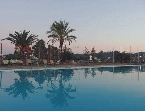 Swimming Pool And Palm Trees