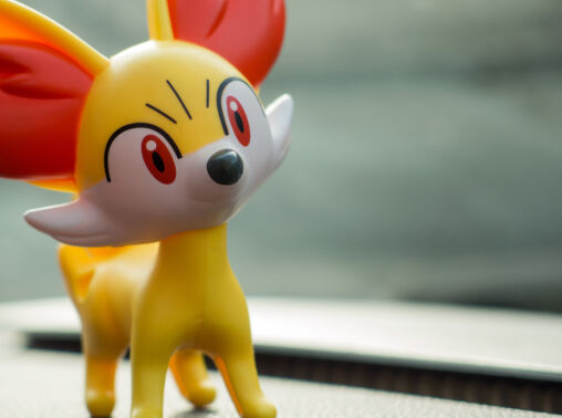 Fennekin Pokemon