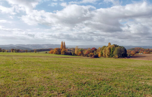 Autumn Landscape