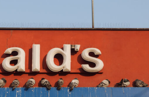 MCDonald’s And Pigeons
