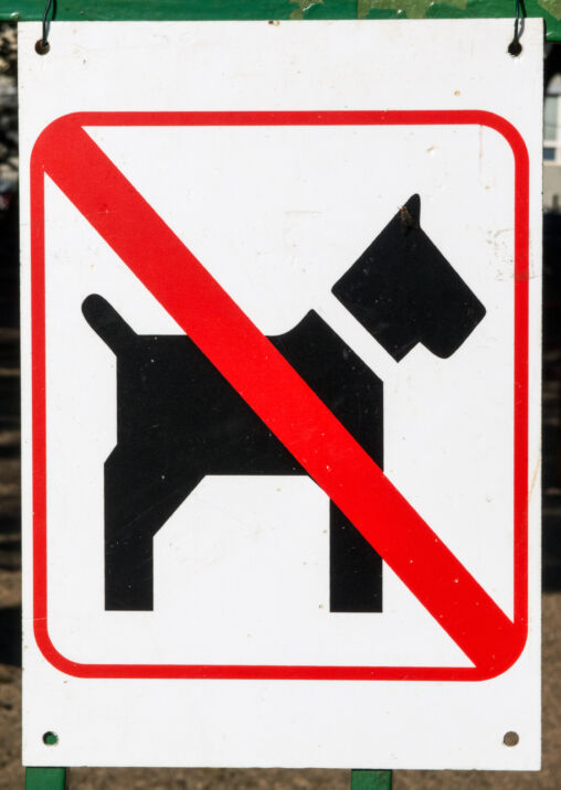 No Dogs Allowed Sign