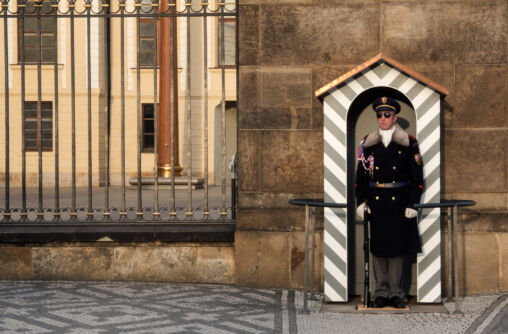 Castle Guard