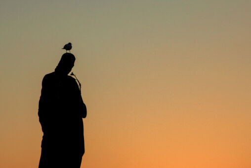 Seagull Sitting On The Old Statue