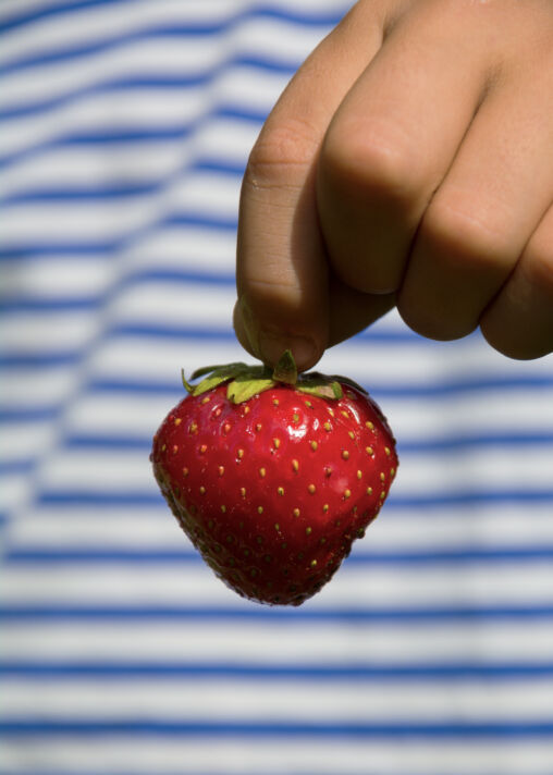 Strawberry In The Hand