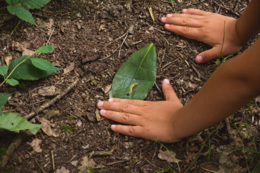 Children In Forest Kindergarten