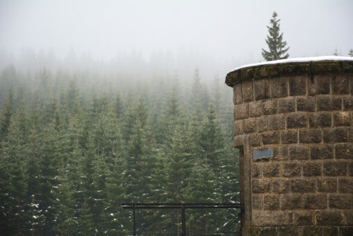 Tower in the Forest