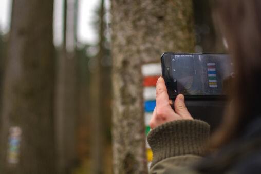 Woman in Forest Taking Pictures by Mobile Phone