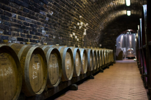 Wine Barrels In Wine Cellar