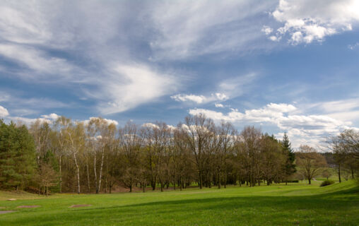 Spring Landscape