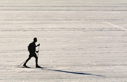 Cross Country Skier – Silhouette