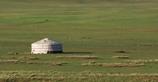 Mongolian yurt in the green steppe