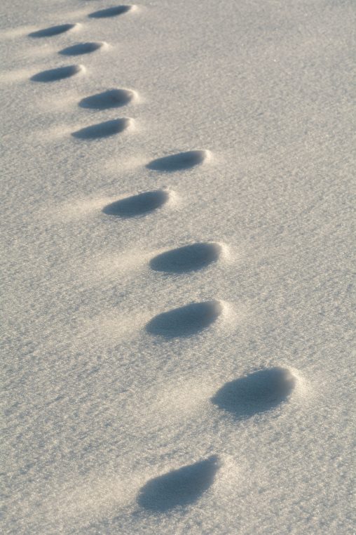 Footprints in the Snow