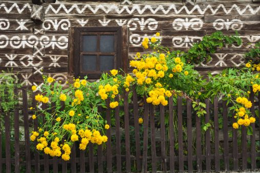 Čicmany Painted Village