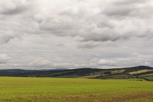 Field and Hills Landscape