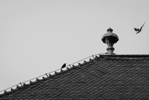 Old Roof Detail