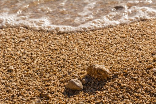 Beach Close-Up