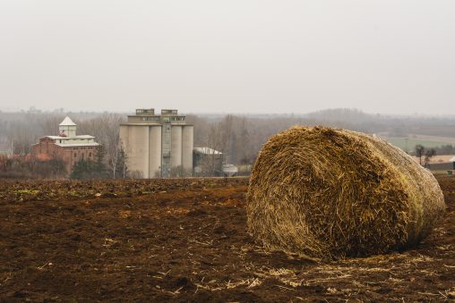 Old Round Hay Bales